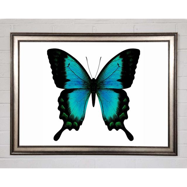 Turquoise Butterfly Wings Framed Print August Grove Size: 29.7cm H x 42cm W on Productcaster.