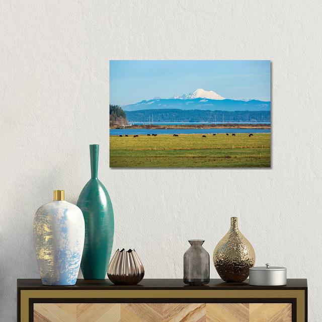 Whidbey Island, Washington State. Snowcapped Mount Baker, The Puget Sound, Black Cows And A Pasture by Jolly Sienda - Gallery-Wrapped Canvas Giclée on on Productcaster.