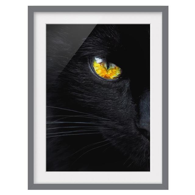 Hypnotic Gaze Framed Print East Urban Home Size: 70cm H x 50cm W, Frame Options: Matt grey on Productcaster.