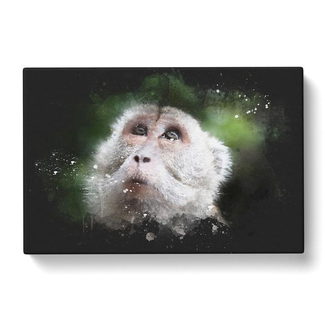 Macaque Monkey - Wrapped Canvas Graphic Art East Urban Home Size: 40cm H x 60cm W x 3cm D on Productcaster.