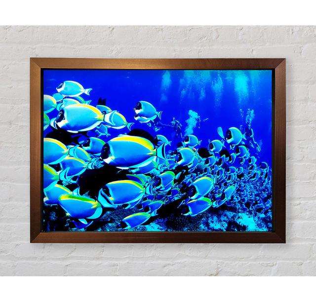 Oceans Glory Framed Print House of Hampton Size: 84.1cm H x 118.9cm W on Productcaster.