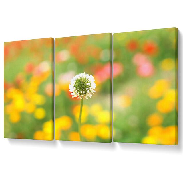 White Clover - 3 Piece Wrapped Canvas Graphic Art Set Ebern Designs Size: 81.3cm H x 163cm W on Productcaster.