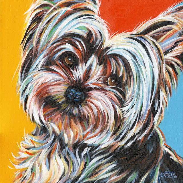 Sweet Yorkie II by Carolee Vitaletti - Wrapped Canvas Painting Rosalind Wheeler Size: 51cm H x 51cm W on Productcaster.