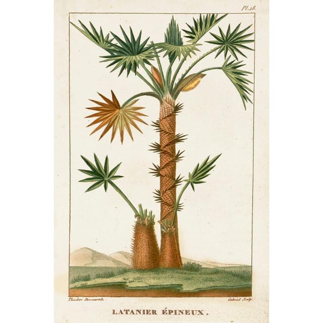 Turpin Exotic Palms I Maturi Size: 91cm H x 61cm W x 3.8cm D on Productcaster.