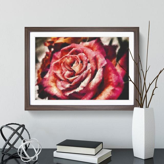 Pink Rose Flower Vol.4 - Picture Frame Graphic Art East Urban Home Size: 27cm H x 36cm W x 2cm D, Frame Option: Walnut Framed on Productcaster.