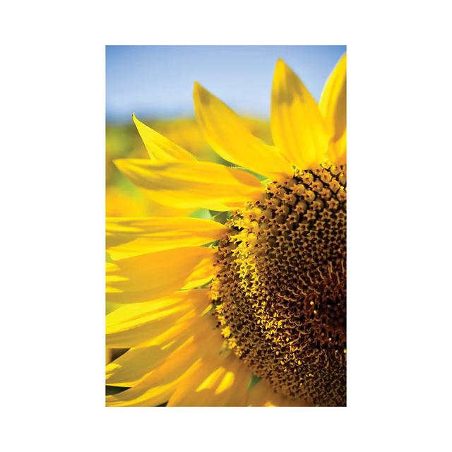 Dreamy Summer Sunflowers IV by Olivia Joy StClaire - Wrapped Canvas Art Prints Brambly Cottage Size: 66.04cm H x 45.72cm W x 3.81cm D on Productcaster.