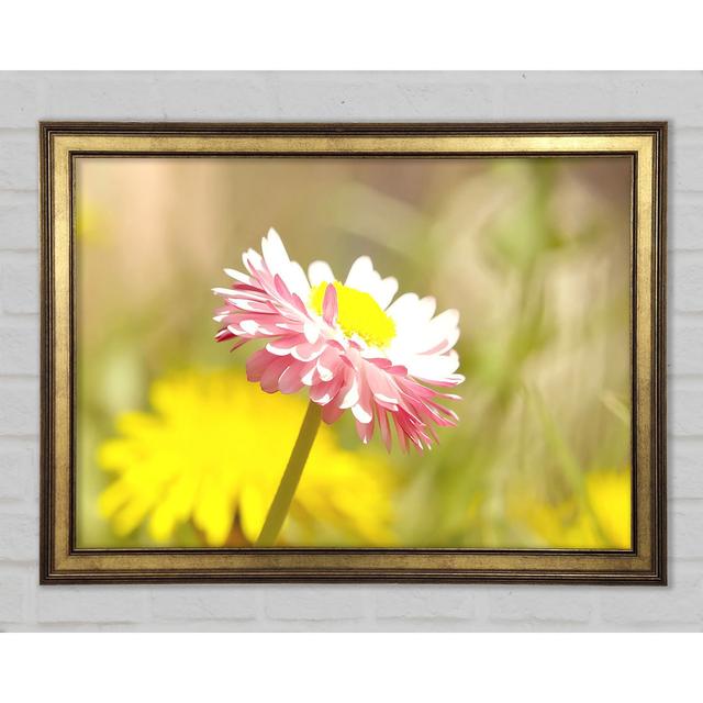 Beautiful Summer Pink Flower - Single Picture Frame Art Prints Brayden Studio Size: 21cm H x 29.7cm W x 1.5cm D on Productcaster.