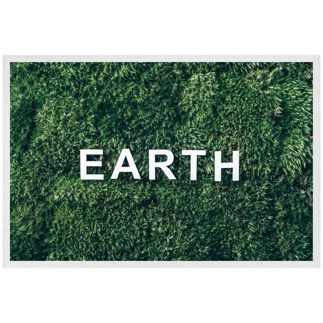 Woodsdale Wellness Earth - Single Picture Frame Art Prints Latitude Run Size: 61cm H x 91cm W x 4cm D, Frame Option: White Framed on Productcaster.