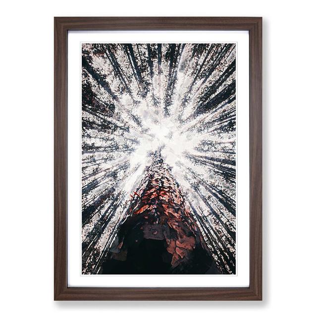 Trees Touching the Sky in Abstract - Picture Frame Graphic Art Print East Urban Home Frame Option: Walnut, Size: 76cm H x 50cm W x 2cm D on Productcaster.