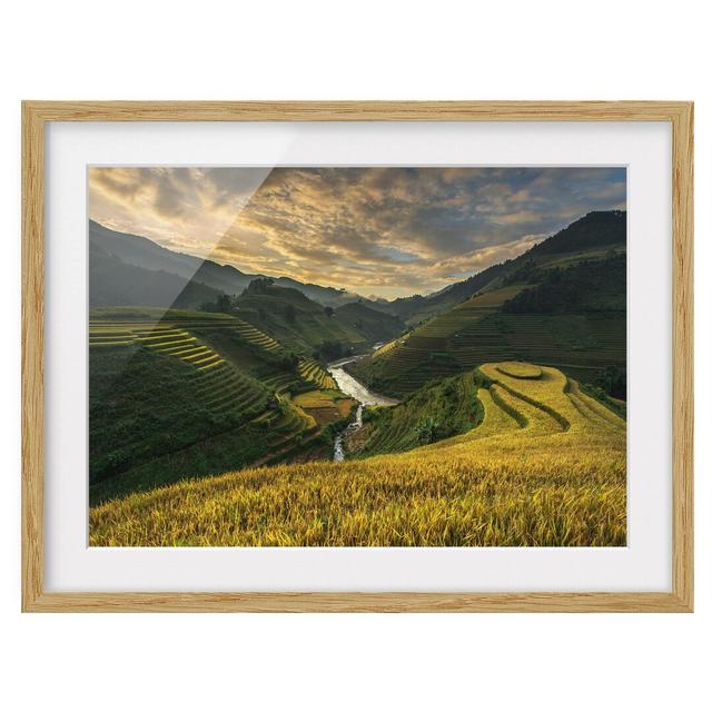 Rice Plantations in Vietnam - Picture Frame Photograph Print East Urban Home Frame Option: Natural oak, Size: 50cm H x 70cm W x 2cm D on Productcaster.