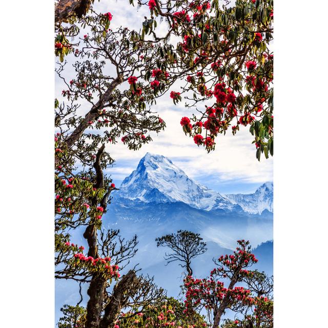 Dowelltown Beautiful View Of Mountains - Wrapped Canvas Print Latitude Run Size: 91cm H x 61cm W x 3.8cm D on Productcaster.