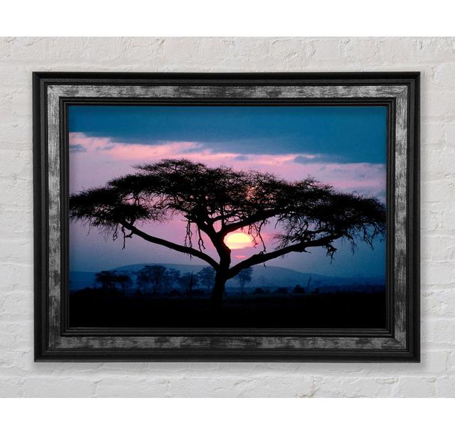 East African Sunset - Single Picture Frame Art Prints Bright Star Size: 21cm H x 42cm W x 8cm D on Productcaster.