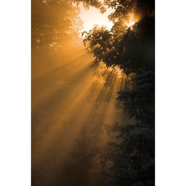 Misty Morning Sunrise by JamesBrey - Print Alpen Home Size: 122cm H x 81cm W on Productcaster.