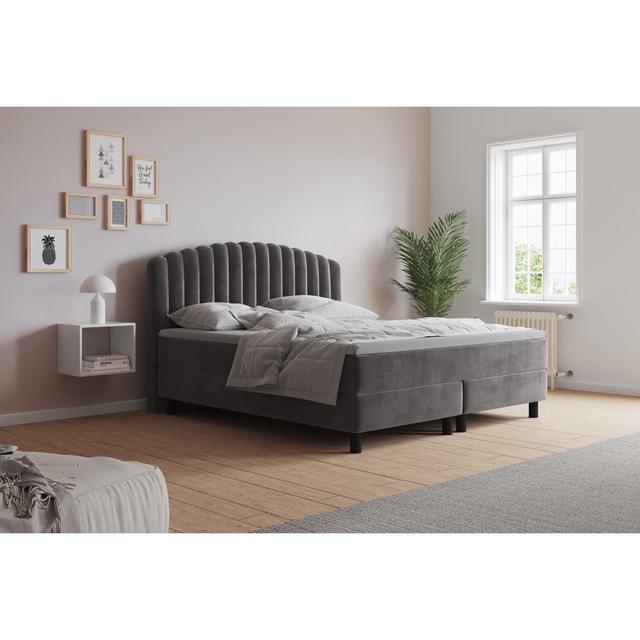 Echtes Boxspringbett Adinath mit Kaltschaum Topper, mit Samtstoff bezogen Canora Grey Farbe: Grau/Braun/Blau, Matratzenhärte: H3 - ca. 75-100 kg, Größ on Productcaster.