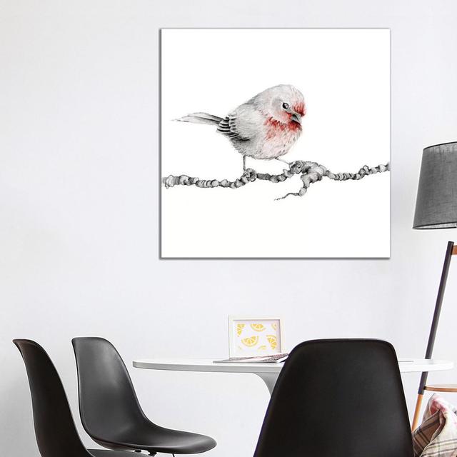 Little Red Finch by Joanna Haber - Wrapped Canvas Painting ClassicLiving Size: 93.98cm H x 93.98cm W on Productcaster.