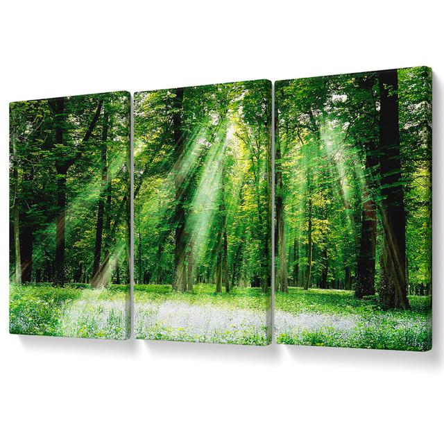 Sunbeams from Heaven - 3 Piece Wrapped Canvas Graphic Art Union Rustic Size: 142.2cm H x 304.8cm W on Productcaster.