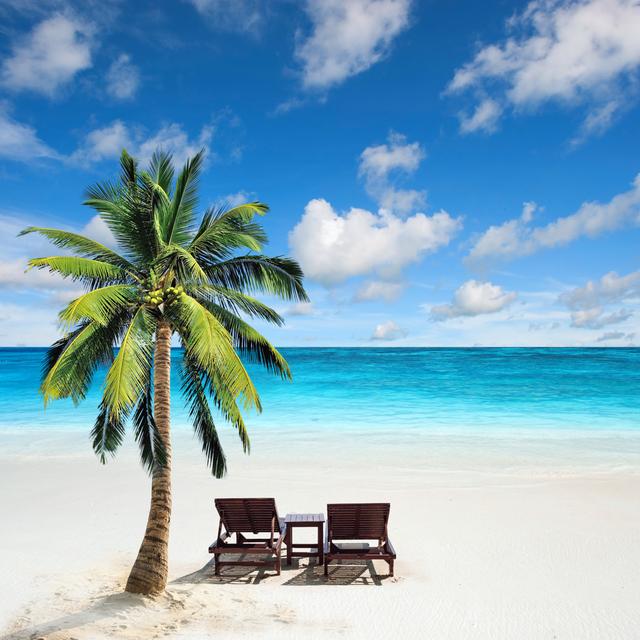 Palm Tree On Beach_475238561 House of Hampton Size: 122cm H x 122cm W x 3.8cm D on Productcaster.