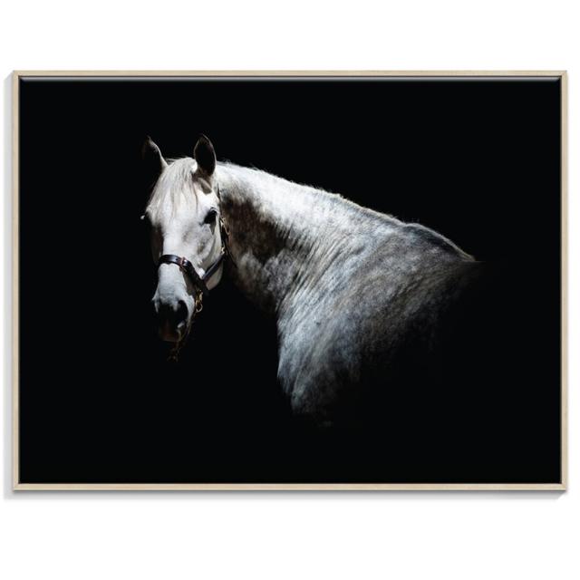 'Horse 1' Framed Photograph on Canvas East Urban Home Size: 51cm H x 76cm W, Frame Options: Timber on Productcaster.