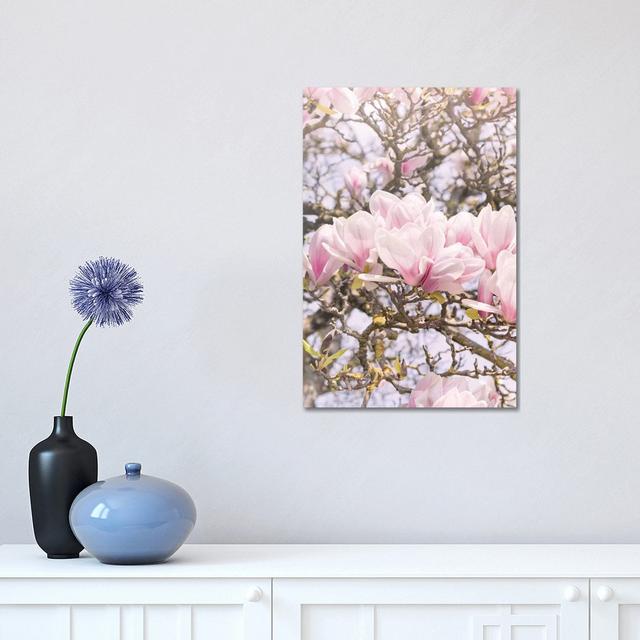 Blooming Magnolia In Montmartre Paris by Beli - Wrapped Canvas Print Rosalind Wheeler Size: 45.72cm H x 30.48cm W x 1.91cm D on Productcaster.