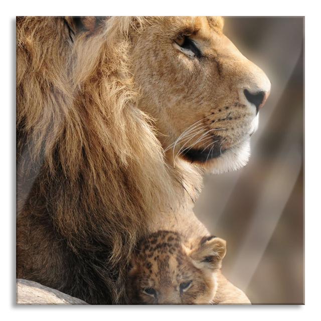 Lion with Cub - Unframed Photograph on Glass Brayden Studio Size: 70cm H x 70cm W x 0.4cm D on Productcaster.