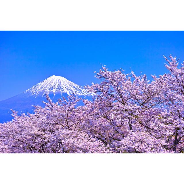 Roberta Mount Fuji - Wrapped Canvas Photograph Alpen Home Size: 51cm H x 76cm W x 3.8cm D on Productcaster.