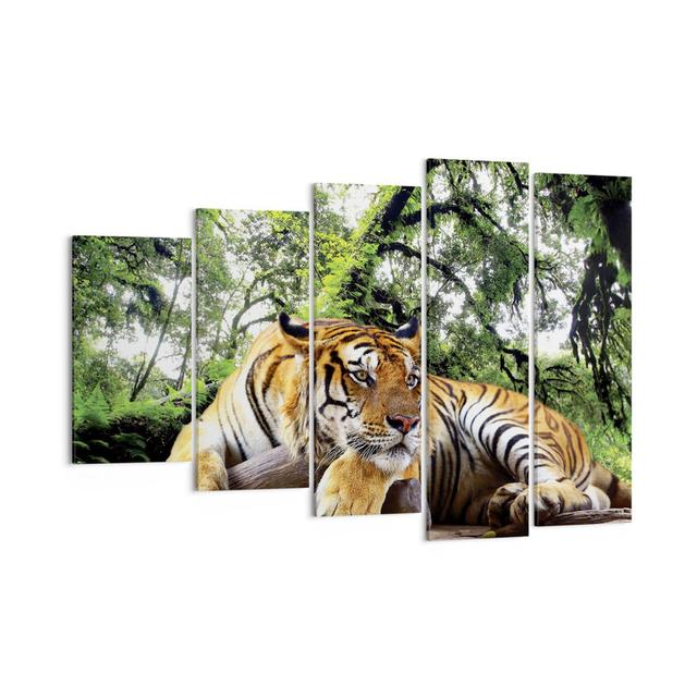 Tiger Jungle Rest - 5 Piece Unframed Photograph on Canvas Ebern Designs Size: 100cm H x 150cm W x 1.8cm D on Productcaster.