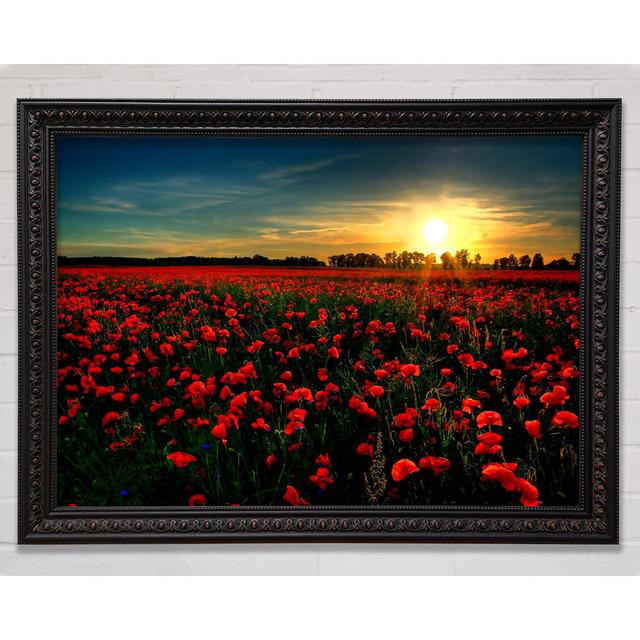 Red Flower Garden - Single Picture Frame Art Prints Bright Star Size: 84.1cm H x 118.9cm W on Productcaster.