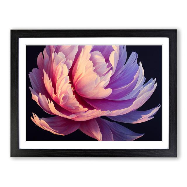 Incredible Peony Flower - Picture Frame Graphic Art Marlow Home Co. Frame Colour: Black, Size: 25cm H x 34cm W x 2cm D on Productcaster.