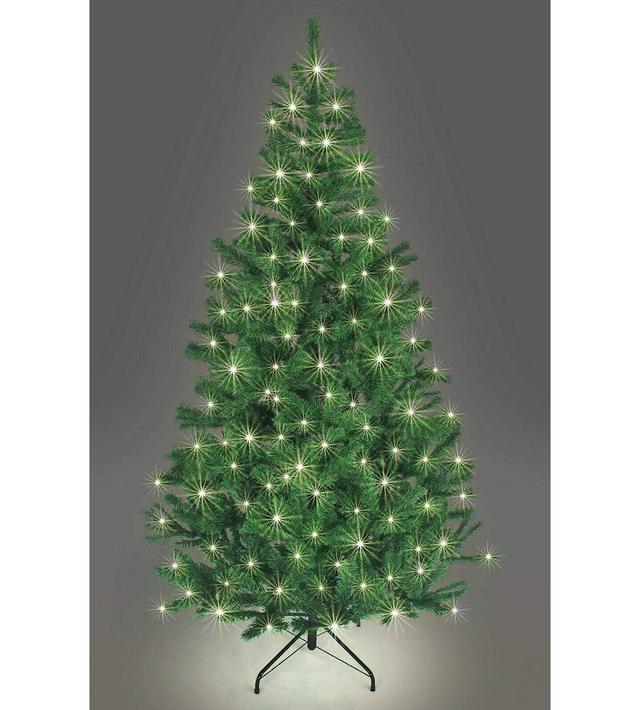 Lighted Artificial Christmas Tree The Seasonal Aisle Size: 244cm on Productcaster.