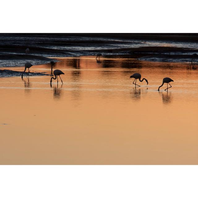 Brawner Flamingoes At Sunrise by Sarievanrooyen - Wrapped Canvas Print 17 Stories Size: 51cm H x 76cm W 3.8cm D on Productcaster.