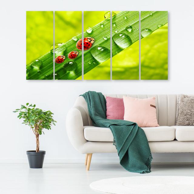 Leinwandbild Ladybird Leaf Drops Ebern Designs Größe: 80 cm H x 200 cm B on Productcaster.