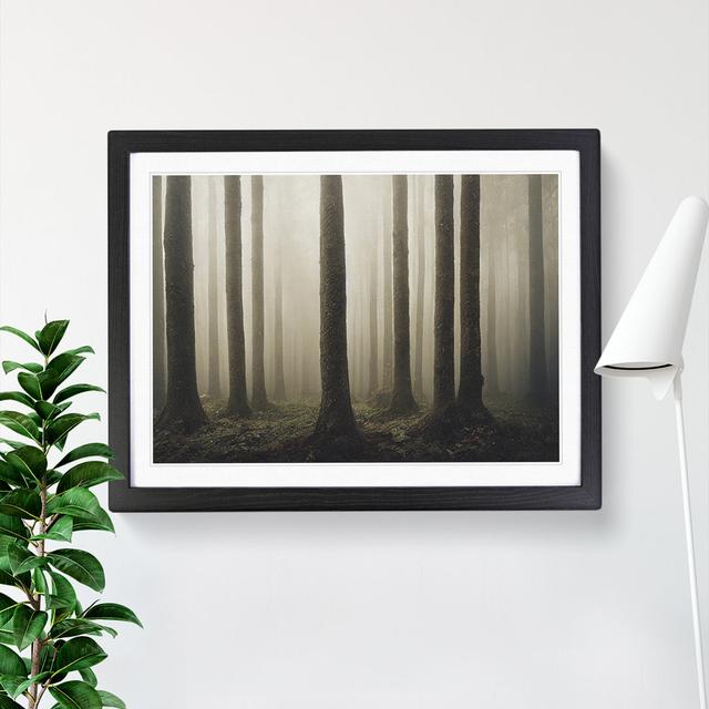 Forest Mist Vol.2 - Single Picture Frame Painting Alpen Home Size: 25cm H x 34cm W x 2cm D, Frame Colour: Black on Productcaster.