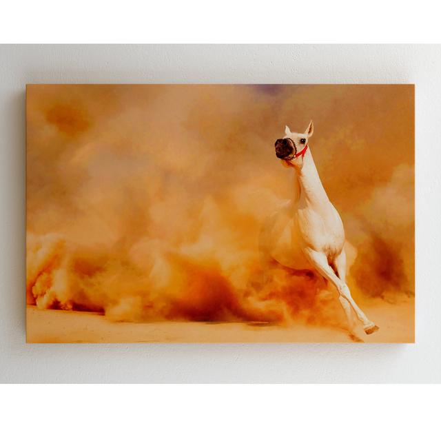 White Horse Beauty - Druck auf Leinwand ohne Rahmen ModernMoments Größe: 99,5 cm H x 141,7 cm B on Productcaster.