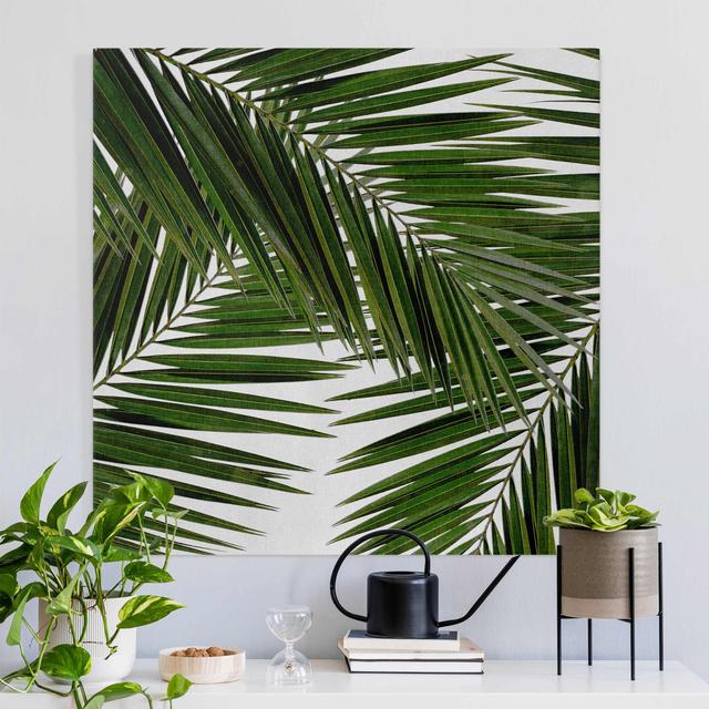 View Through Palm Leaves Wall Art on Canvas 17 Stories Format: 330g/m³ recycled canvas, Size: 40cm H x 40cm W, Frame Option: Green on Productcaster.