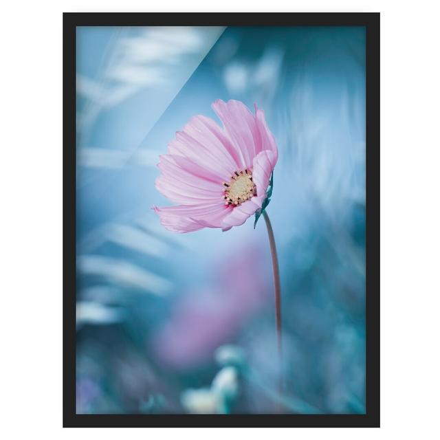 Flower in Pastel - Picture Frame Graphic Art Marlow Home Co. Size: 70cm H x 50cm W x 2cm D, Frame Option: Black Framed on Productcaster.