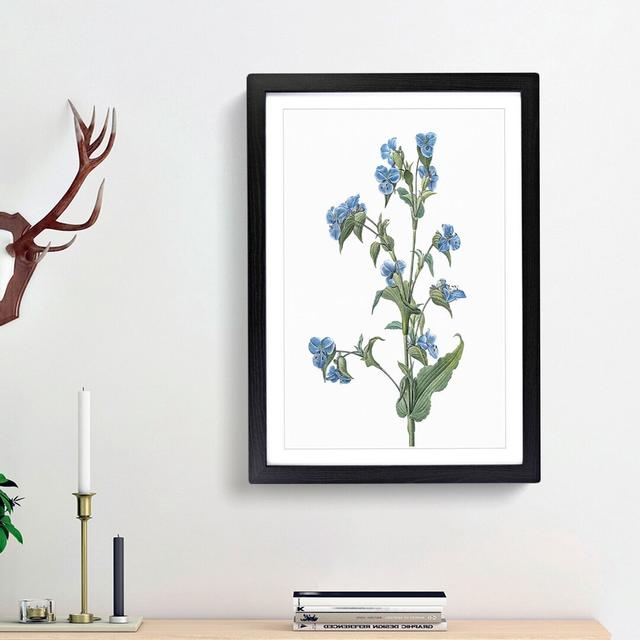 Blue Dayflowers by Pierre-Joseph Redoute - Picture Frame Art Print East Urban Home Frame Option: Black Framed, Size: 36cm H x 27cm W x 2cm D on Productcaster.