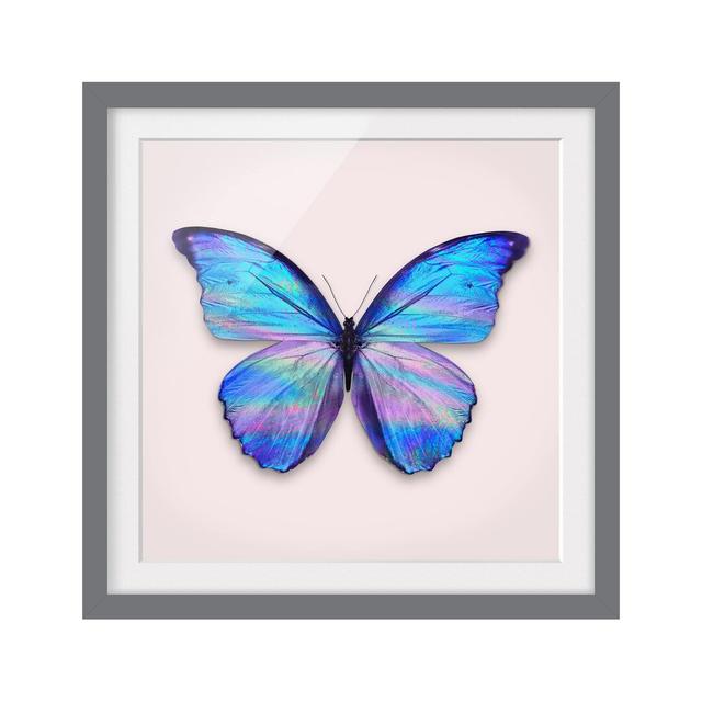 Holographic Butterfly by Jonas Loose - Picture Frame Graphic Art Rosalind Wheeler Frame Option: Grey Framed, Size: 50cm H x 50cm W x 2cm D on Productcaster.