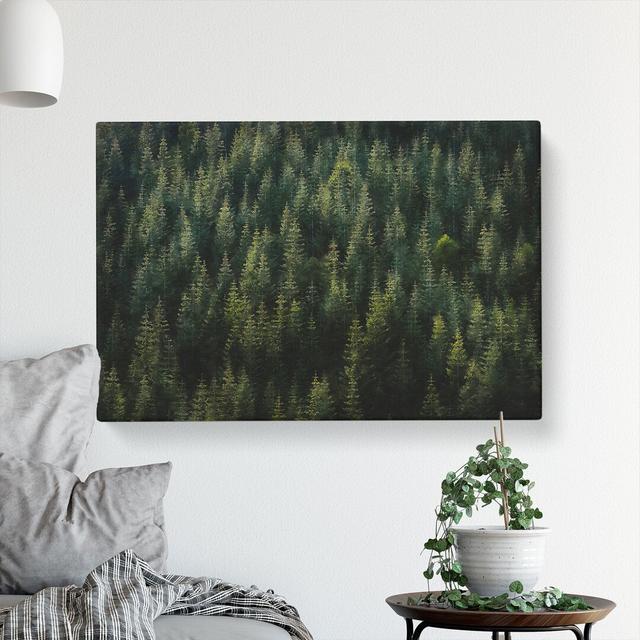 Beauty Of The Pine Tree Forest - Wrapped Canvas Painting East Urban Home Size: 40cm H x 60cm W x 3cm D on Productcaster.