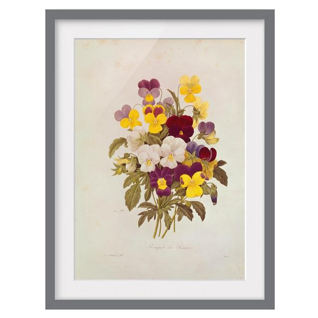 A Bunch of Pansies - Picture Frame Photograph Rosalind Wheeler Framed Option: Grey Framed, Size: 70cm H x 50cm W x 2cm D on Productcaster.