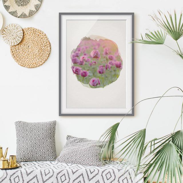 Purple Opium Poppy Flower Meadow in Spring - Picture Frame Graphic Art Rosalind Wheeler Size: 100cm H x 70cm W x 2cm D, Frame Option: Grey Framed on Productcaster.