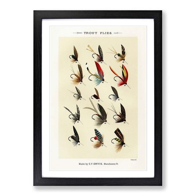 Trout Fishing Flies Version 3 by Mary Orvis Marbury - Picture Frame Painting Print East Urban Home Frame Option: Black, Size: 91cm H x 60cm W x 2cm D on Productcaster.