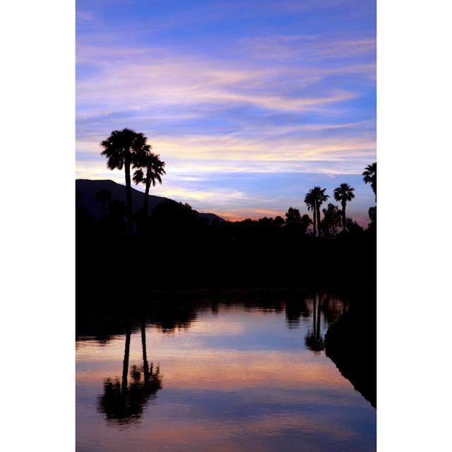 Palm Springs Sunset - Print 17 Stories Size: 76cm H x 51cm W x 3.8cm D on Productcaster.