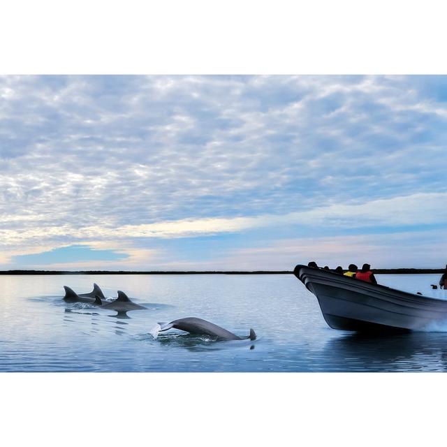 Dolphins And Boat by Delbars - Wrapped Canvas Photograph Breakwater Bay Size: 61cm H x 91cm W x 3.8cm D on Productcaster.