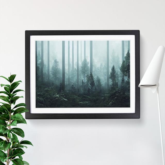 XH1022-7151X Pretty Forest - Single Picture Frame Print Alpen Home Size: 46cm H x 64cm W, Frame Colour: Black on Productcaster.