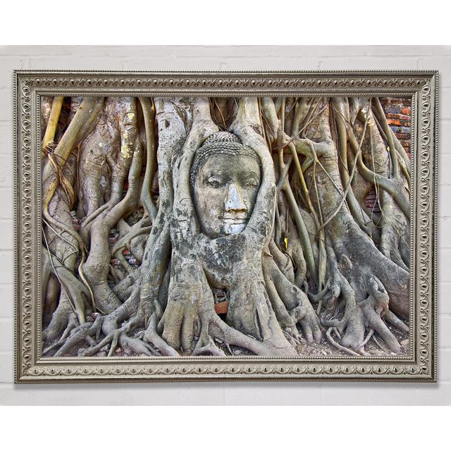 Buddha 21 - Single Picture Frame Art Prints Latitude Vive Format: Silver Framed Paper, Size: 29.7cm H x 42cm W x 3cm D on Productcaster.