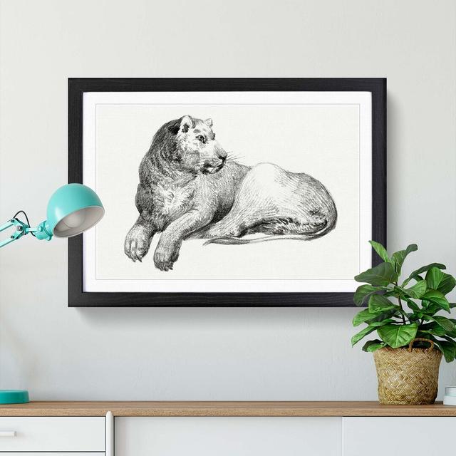 Young Lion by Jean Bernard - Picture Frame Drawing Print East Urban Home Size: 36cm H x 48cm W x 2cm D, Frame Option: Black Framed on Productcaster.