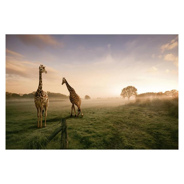 Matt Fototapete Surreal Giraffes 2,55 m x 384 cm East Urban Home on Productcaster.