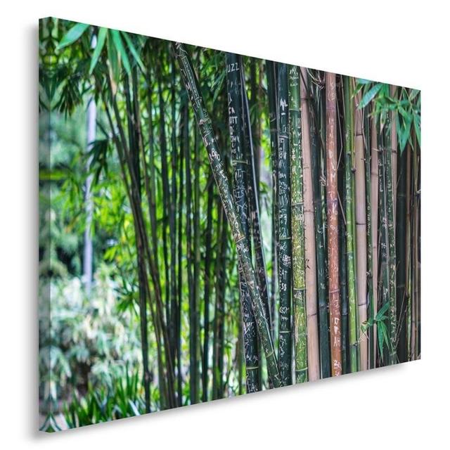 'Bamboo 3' Panting Print on Canvas Latitude Run Size: 70cm H x 100cm W on Productcaster.