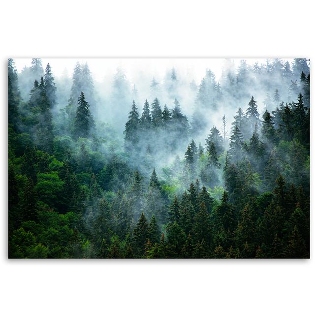 Forest In The Fog - Wrapped Canvas Art Prints Alpen Home Size: 80cm H x 120cm W on Productcaster.