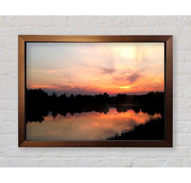 Sunset Tree Reflections Framed Print 17 Stories Size: 42cm H x 59.7cm W on Productcaster.